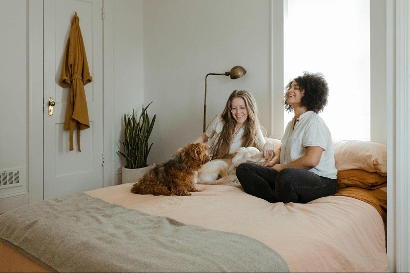 The Small Changes Pet Parents Apply That Make Busy Mornings Feel Less Rushed